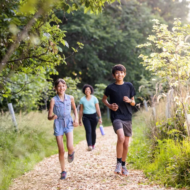 Three people jogging and walking on a sunlit forest trail surrounded by green trees and plants.